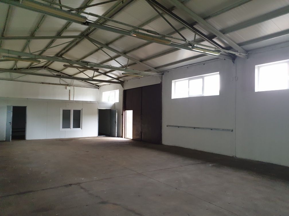 Hala/magazyn Starachowice. Zdjęcie 6