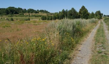 Działka rolno-budowlana Grudza
