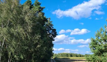 Działka rolno-budowlana Nowosady Dubińska Ferma