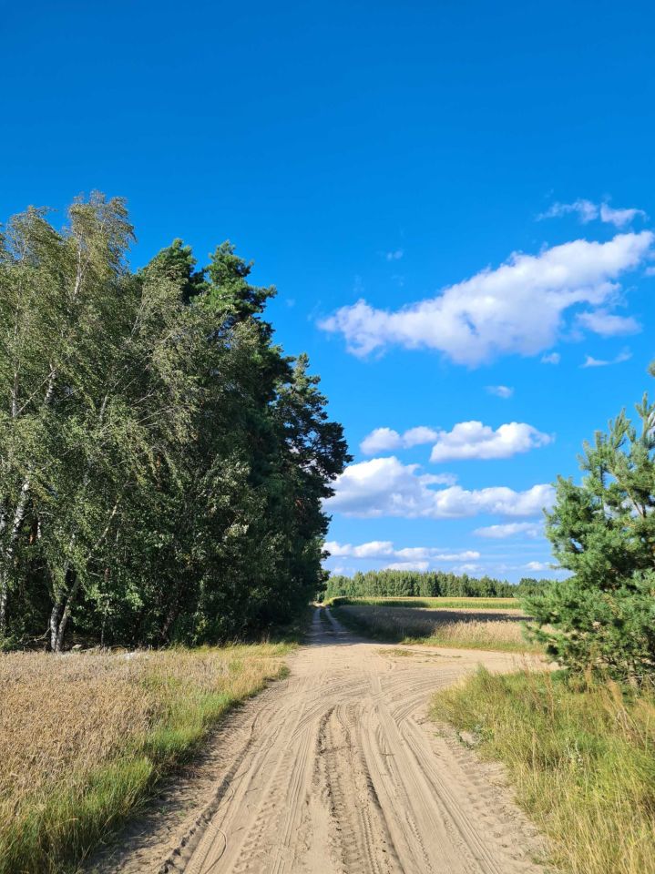 Działka rolno-budowlana Nowosady Dubińska Ferma. Zdjęcie 2