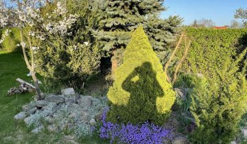 Mieszkanie 2-pokojowe Iłówiec