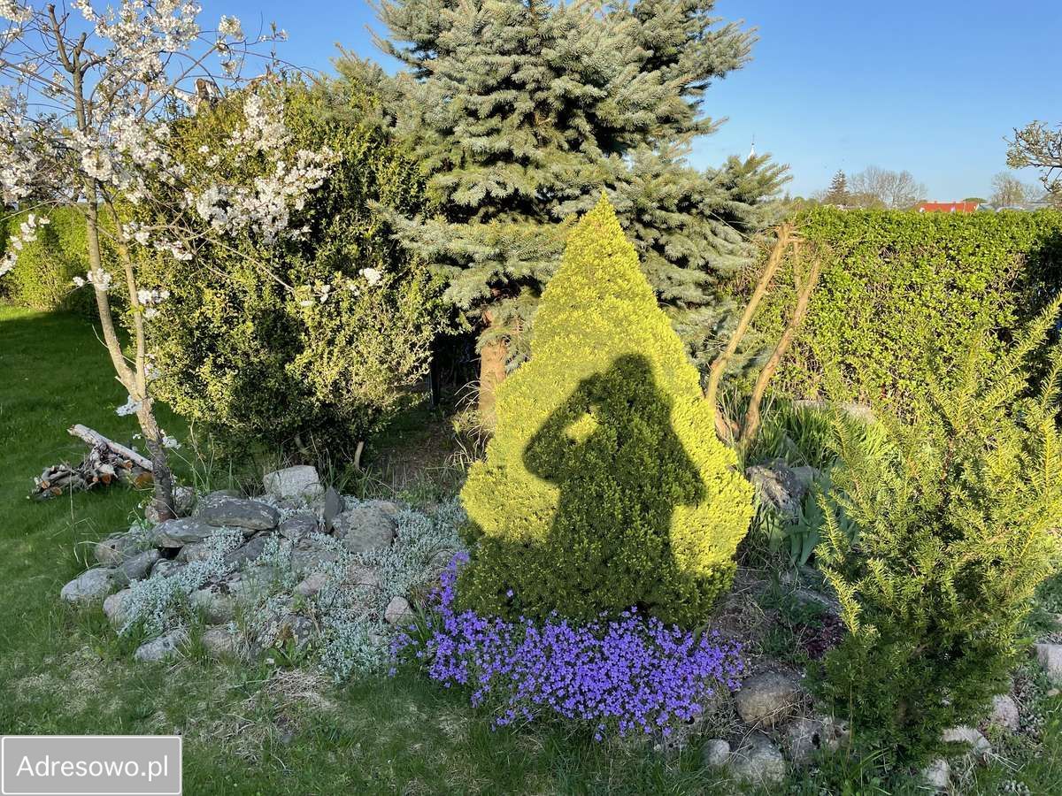 Mieszkanie 2-pokojowe Iłówiec. Zdjęcie 2