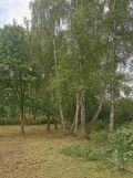 Działka rod Gdańsk Klukowo, ul. Meteorytowa. Zdjęcie 1