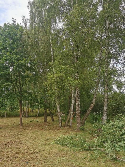 Działka rod Gdańsk Klukowo, ul. Meteorytowa. Zdjęcie 2