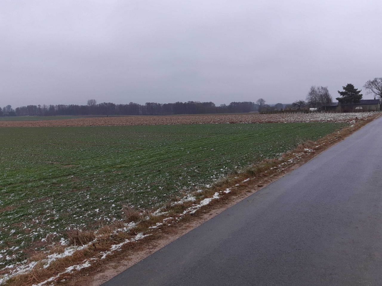 Działka rolno-budowlana Nowy Dwór-Parcela. Zdjęcie 3