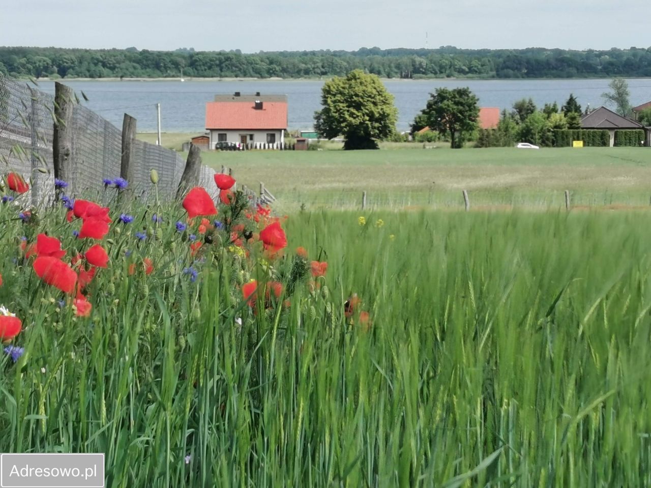 Działka rolno-budowlana Powidz, ul. Widokowa. Zdjęcie 7