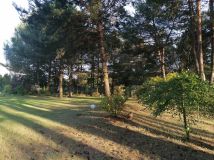 Działka siedliskowa Chwalęcice. Zdjęcie 2