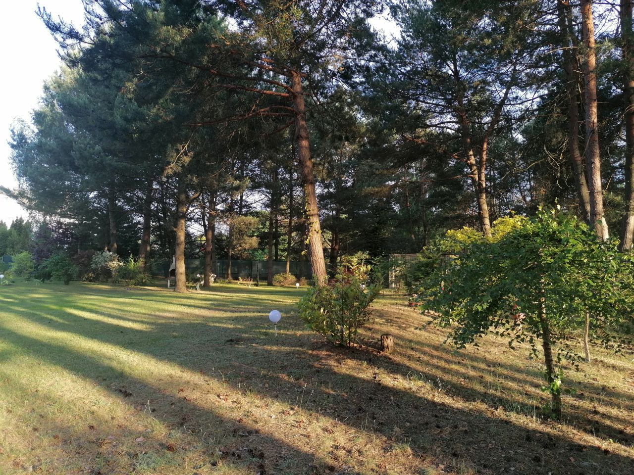 Działka siedliskowa Chwalęcice. Zdjęcie 3