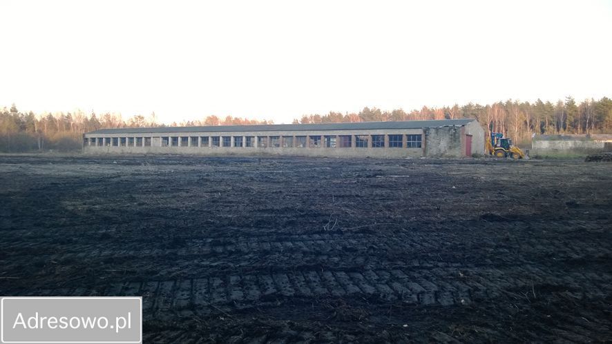 Działka inwestycyjna Lipie. Zdjęcie 8