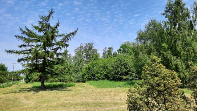 Działka budowlana Izbica. Zdjęcie 13