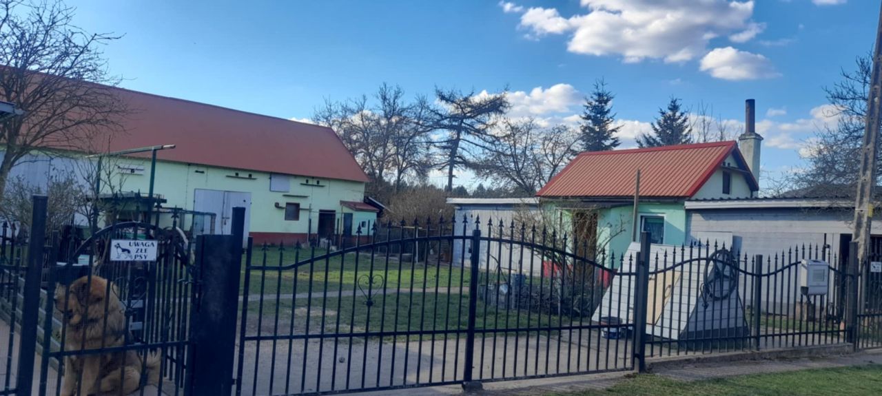 gospodarstwo, 7 pokoi Czerna. Zdjęcie 10