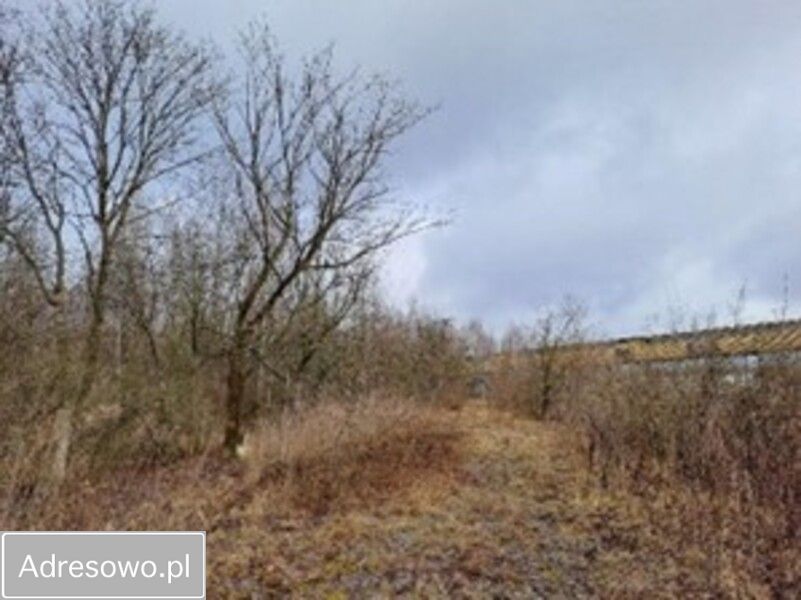 Działka inwestycyjna Dąbrowa Górnicza. Zdjęcie 6