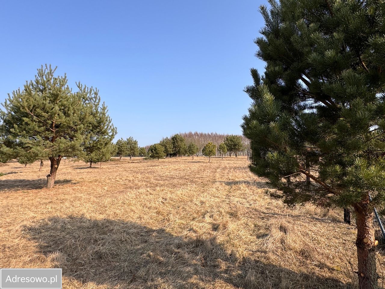 Działka rekreacyjna Dołgie. Zdjęcie 5