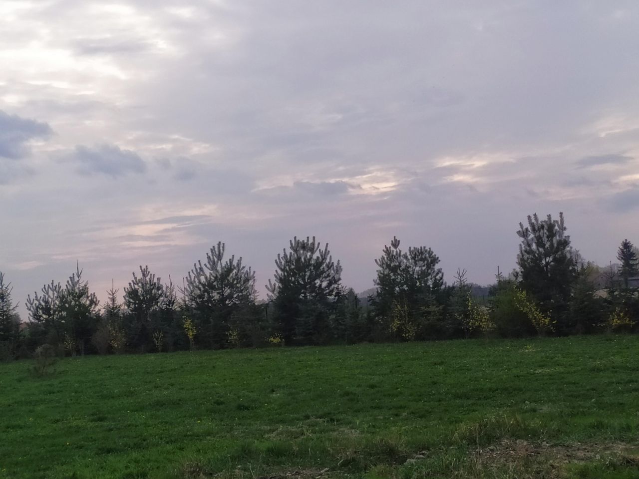 Działka budowlana Kamionka Ostrów, ul. Leśna. Zdjęcie 3