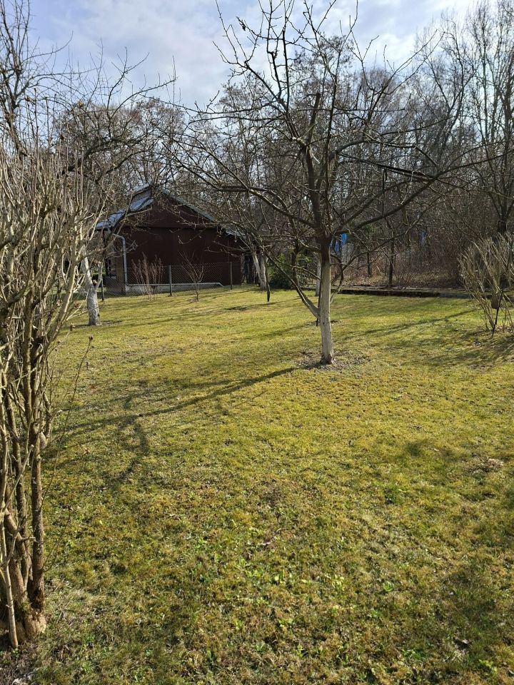 Działka rod Kraków, ul. Jasnogórska. Zdjęcie 6