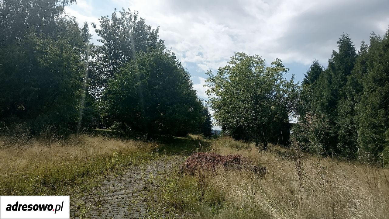 dom wolnostojący, 4 pokoje Trzemeśnia Brzeg. Zdjęcie 12