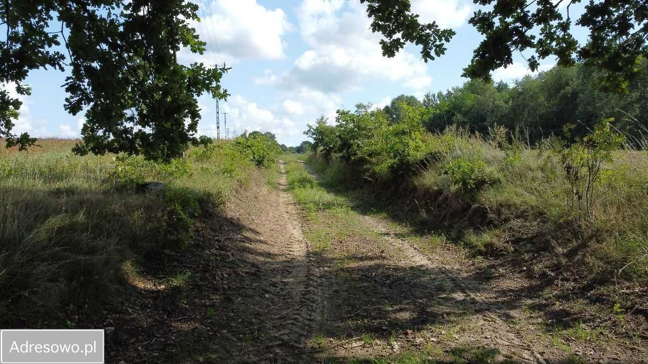 Działka rolna Śmilcz. Zdjęcie 5