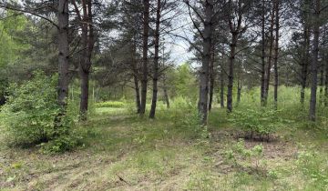 Działka rekreacyjna Borzechowo