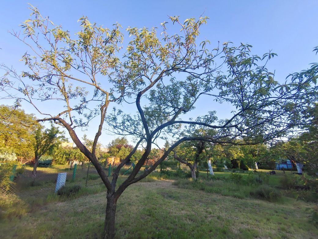 Działka rod Szczecin Świerczewo. Zdjęcie 5