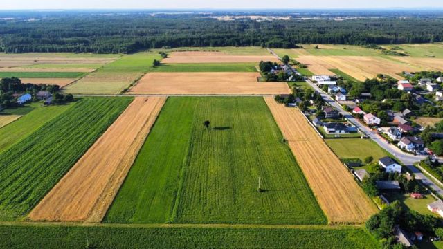 Działka budowlana Stanisławice. Zdjęcie 10