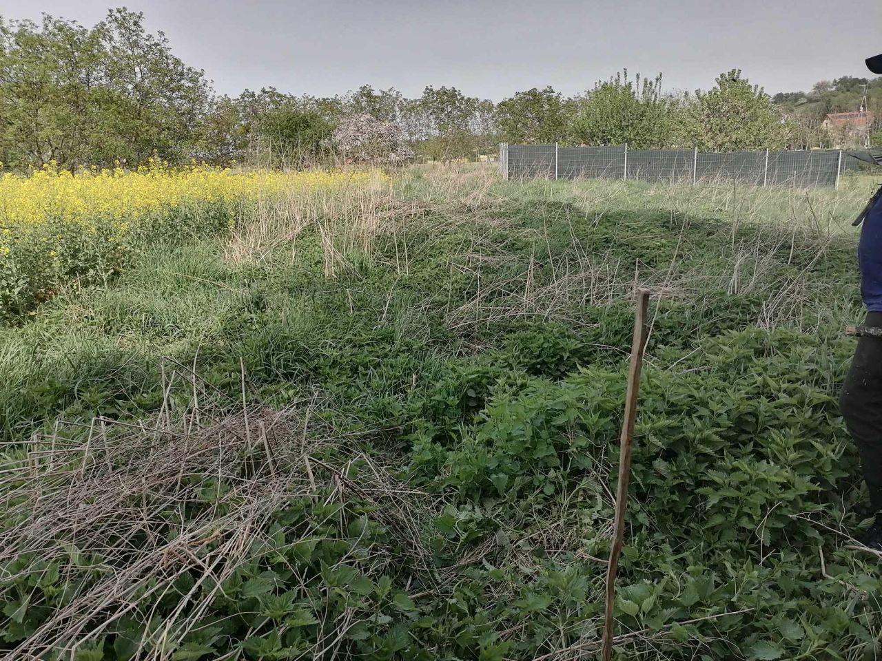 Działka budowlana Gościęcice, Rumiankowa. Zdjęcie 3