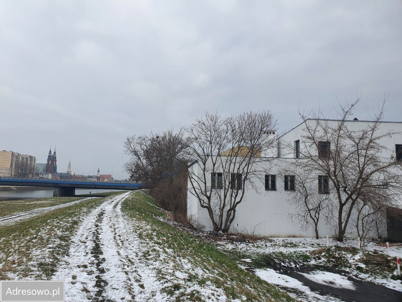 Nieruchomość komercyjna Opole Śródmieście, ul. Księdza Norberta Bonczyka. Zdjęcie 4