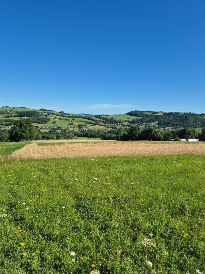 Działka budowlana Grybów Strzylawki. Zdjęcie 5