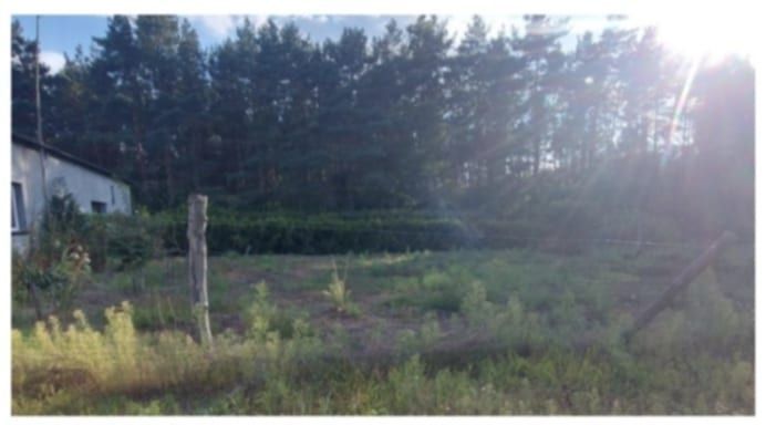 dom wolnostojący Nowiny Brdowskie. Zdjęcie 6