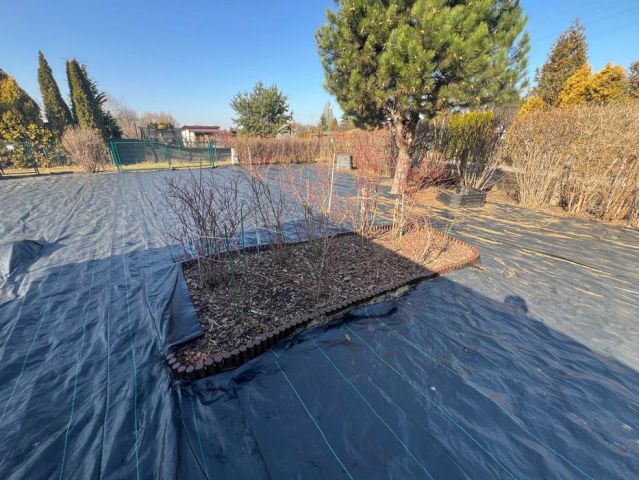 Działka rod Warszawa Paluch. Zdjęcie 1