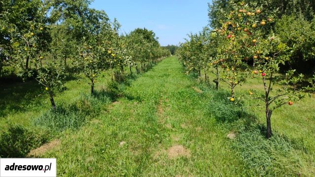 Działka rolno-budowlana Błeszno. Zdjęcie 1