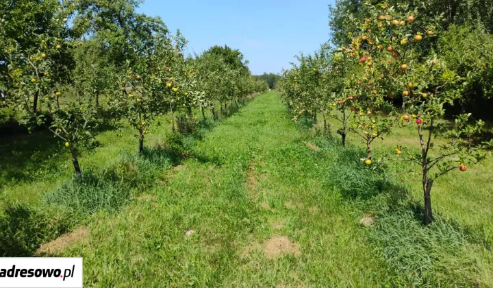 Działka rolno-budowlana Błeszno