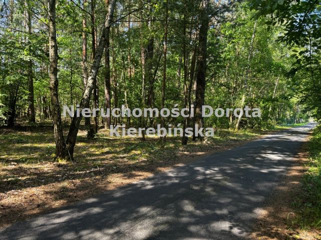 Działka rolna Stefanów. Zdjęcie 14