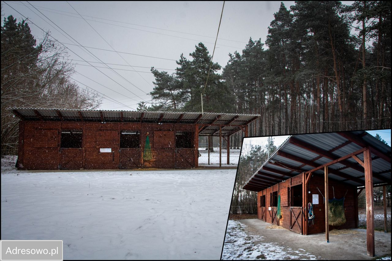 dom wolnostojący, 6 pokoi Zawiercie. Zdjęcie 10