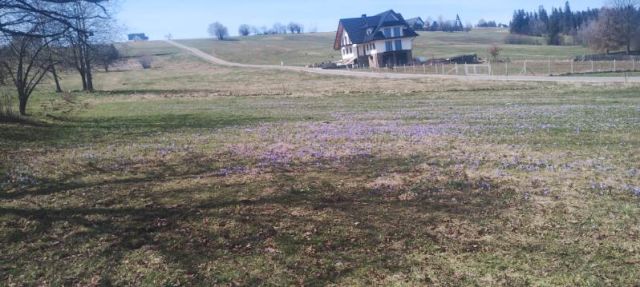 Działka budowlana Czerwienne Pałki. Zdjęcie 3