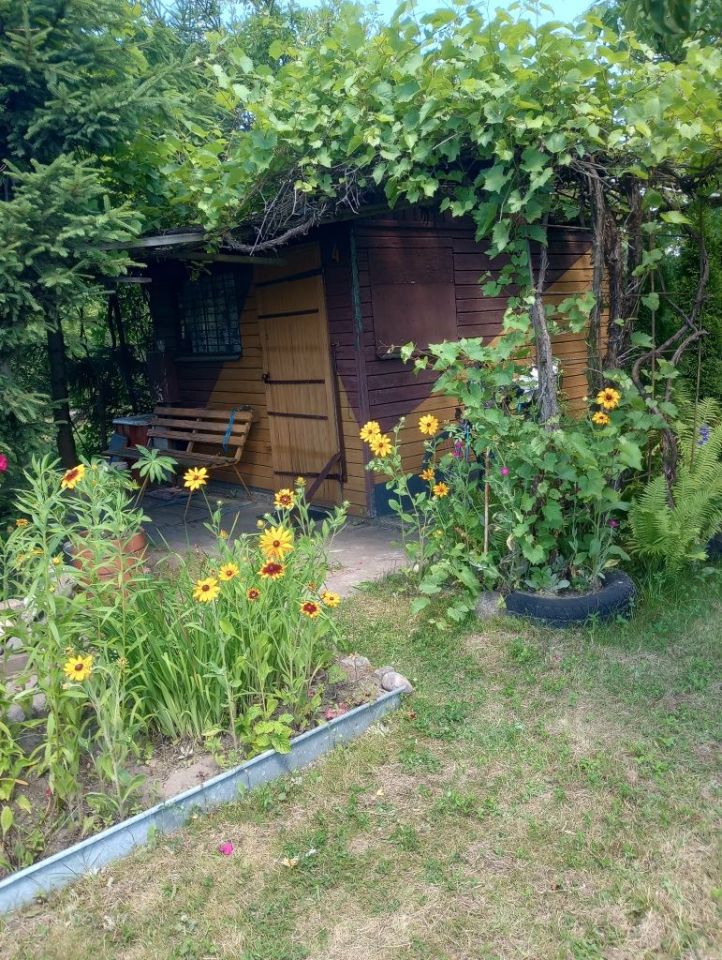 Działka rod Łuków. Zdjęcie 1