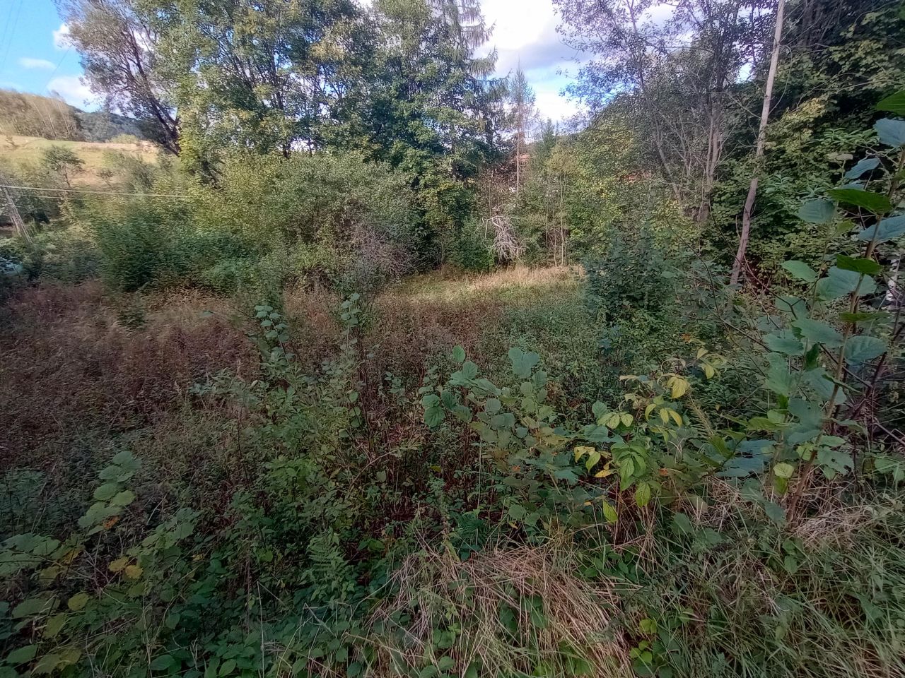 Działka rolno-budowlana Tylmanowa Ziemianki, os. Ziemianki. Zdjęcie 6