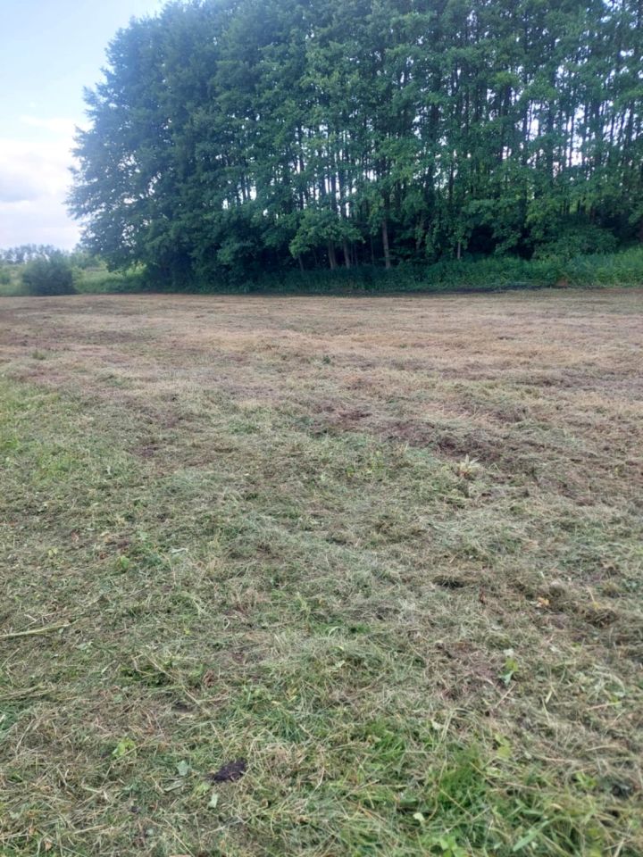 Działka budowlana Targowisko. Zdjęcie 2