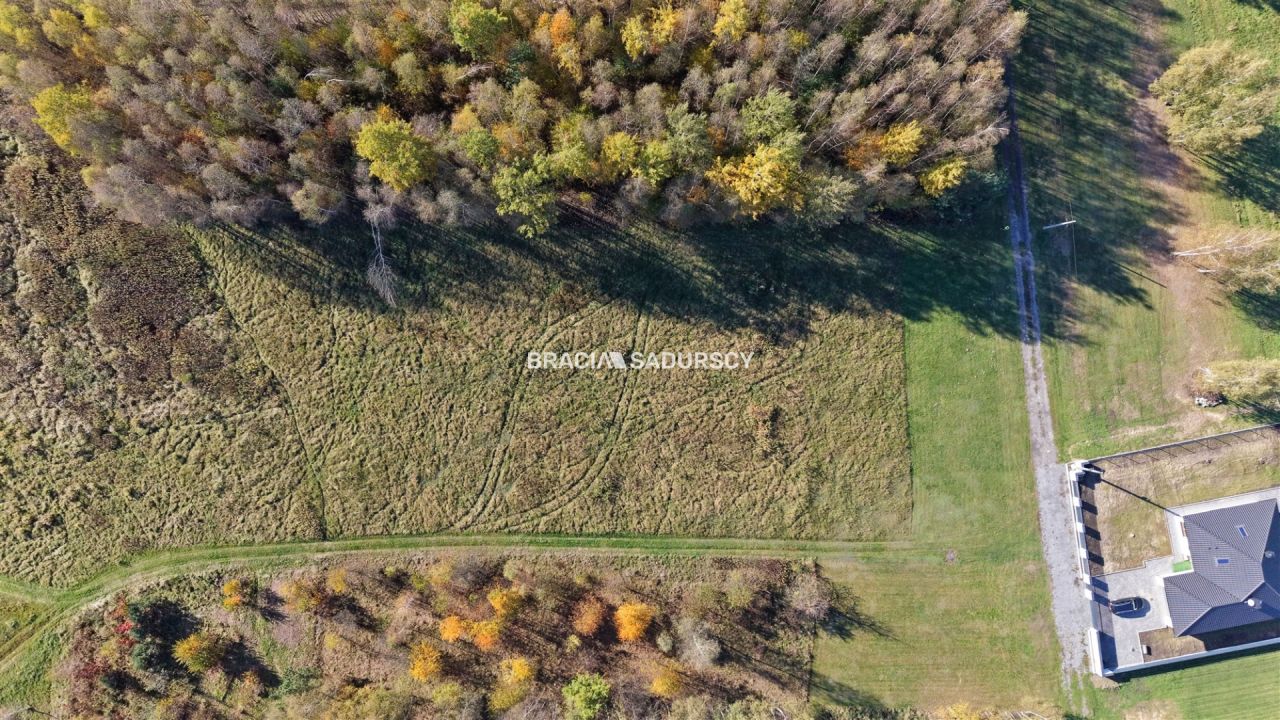 Działka budowlana Buczków. Zdjęcie 6
