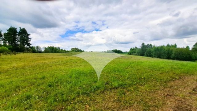 Działka budowlana Dąbrówka Wielka. Zdjęcie 3