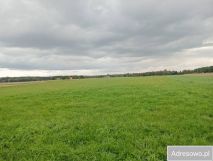 Działka budowlana Żerdź. Zdjęcie 4