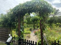 Działka rod Świecie. Zdjęcie 3