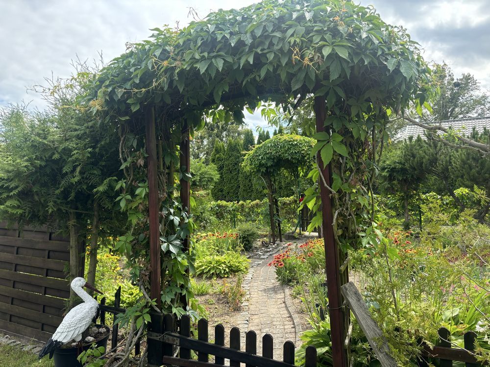 Działka rod Świecie. Zdjęcie 4