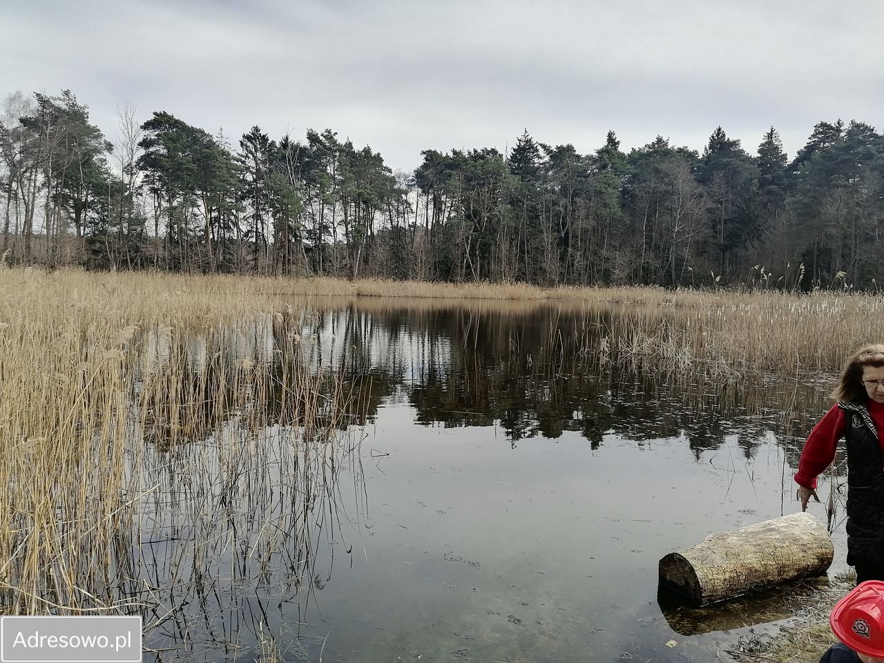 Działka budowlana Stare Miasto. Zdjęcie 2