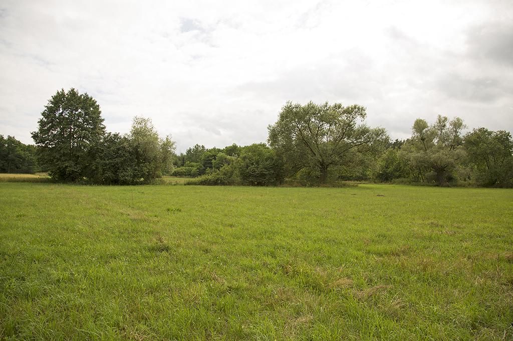 Działka siedliskowa Wola Ładowska. Zdjęcie 6