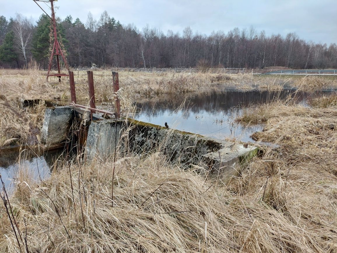 Działka inwestycyjna Mołodycz. Zdjęcie 5