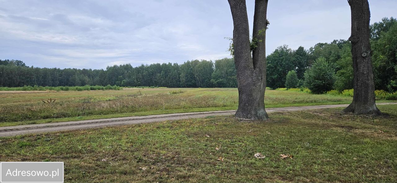 Działka budowlana Nowa Pogorzel, ul. Długa. Zdjęcie 3