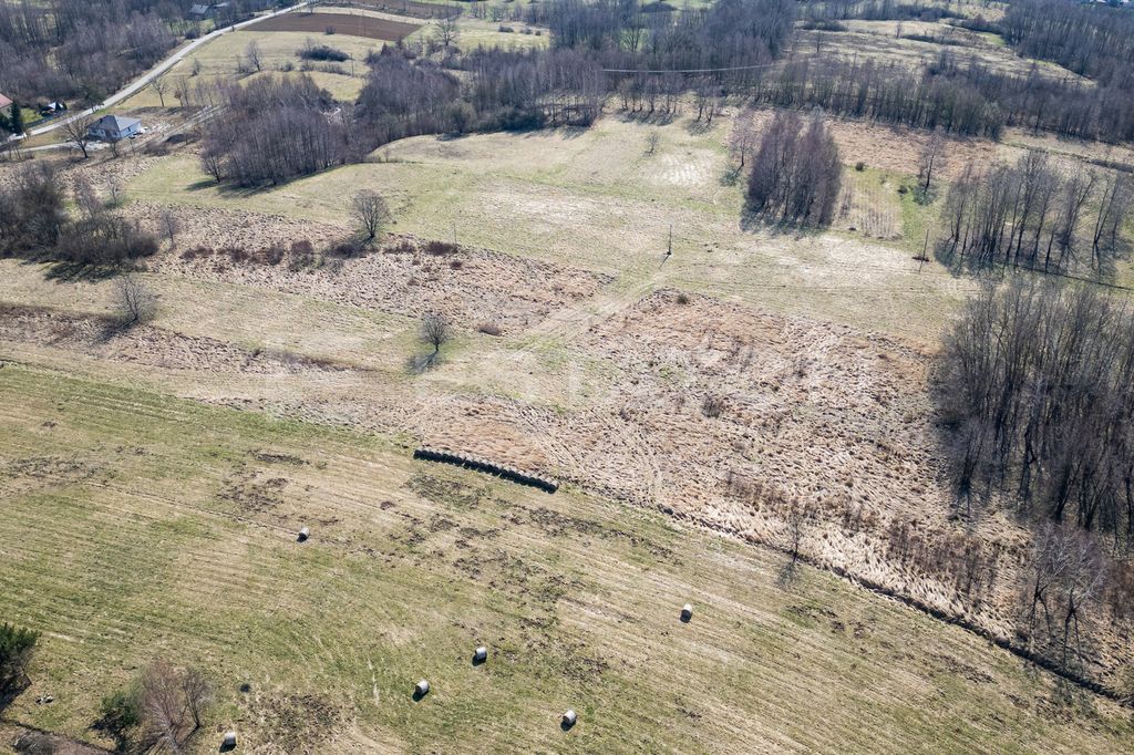 Działka Lubenia. Zdjęcie 4