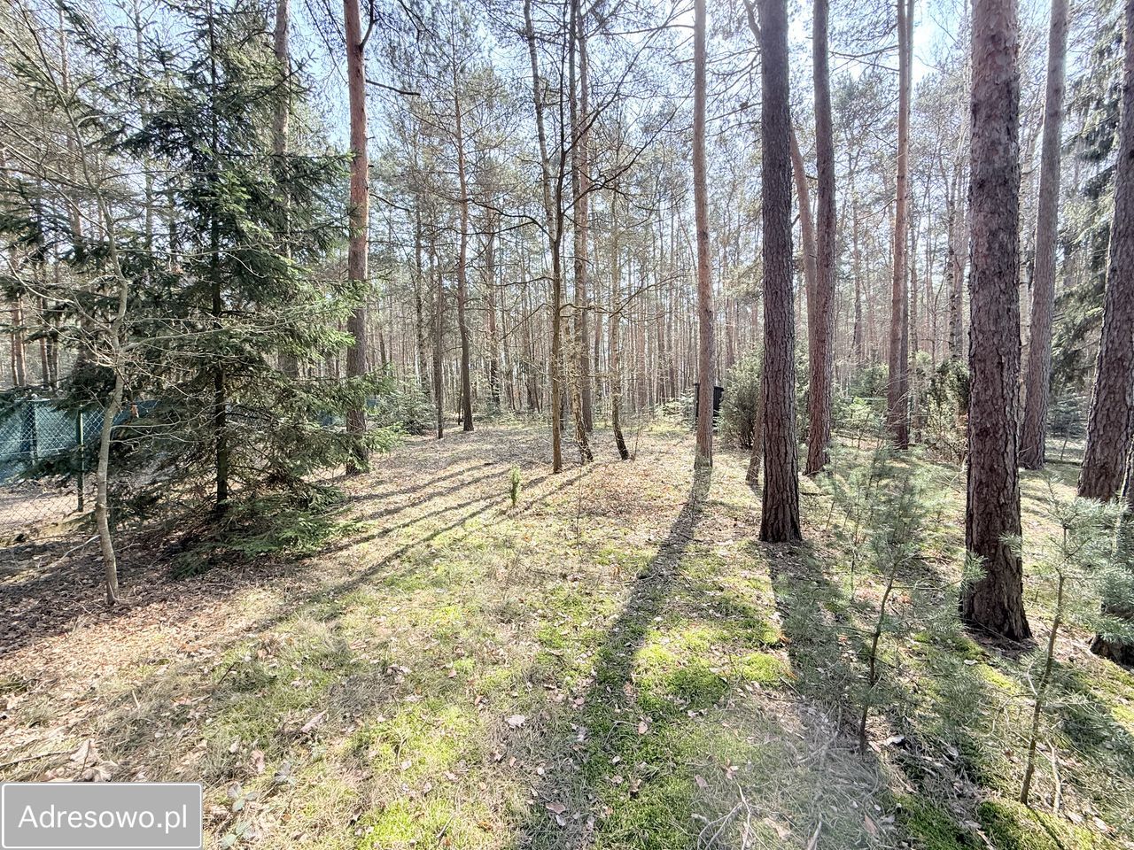 Działka budowlana Swolszewice Duże. Zdjęcie 4