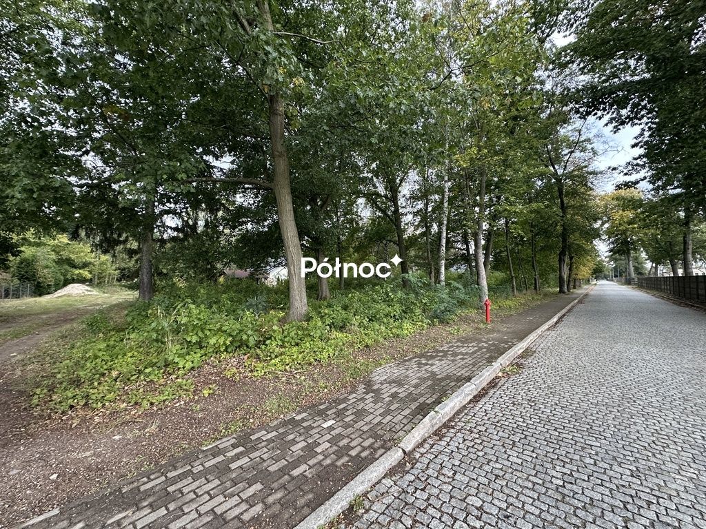 Działka budowlana Świętoszów, ul. Koszarowa. Zdjęcie 2