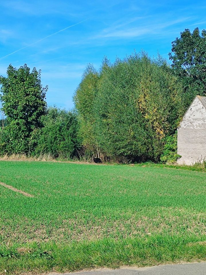 Działka budowlana Kornacice. Zdjęcie 2